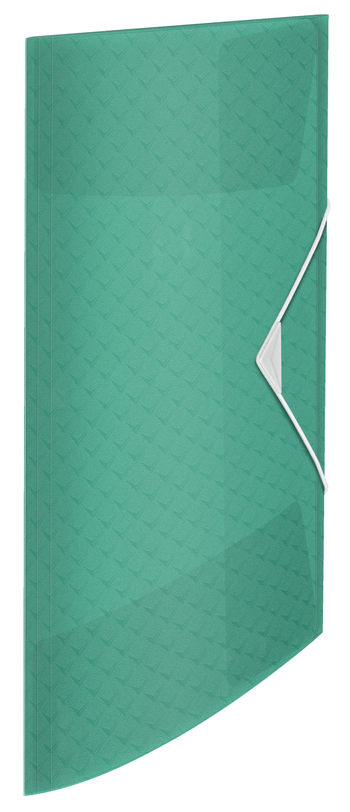 MAPA PLASTIC CU ELASTIC VERDE 150 COLI RECICLABILA COLOUR'BREEZE ESSELTE MAPA PLASTIC CU ELASTIC VERDE 150 COLI RECICLABILA COLOUR'BREEZE ESSELTE